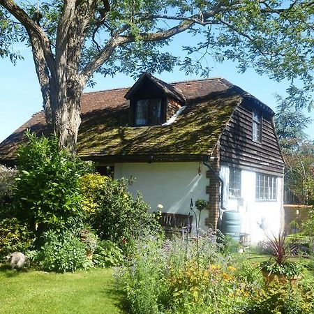 Strawberry Cottage B&B Hedge End Exterior photo